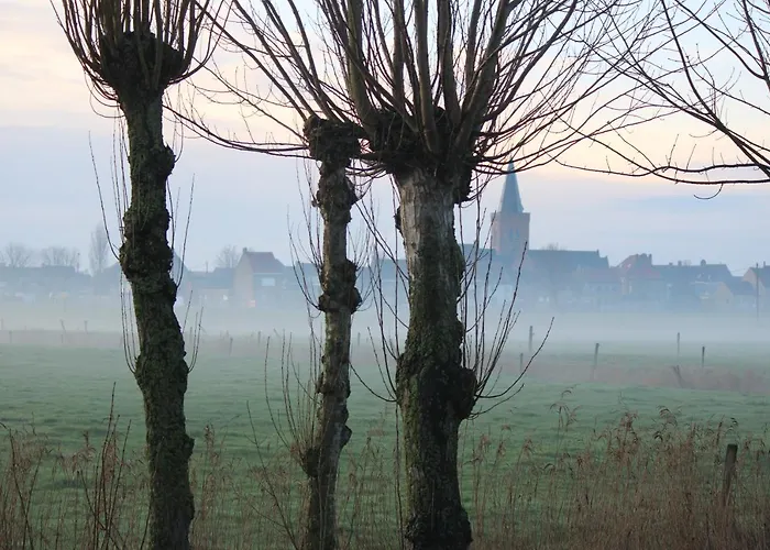 Maneschijn****