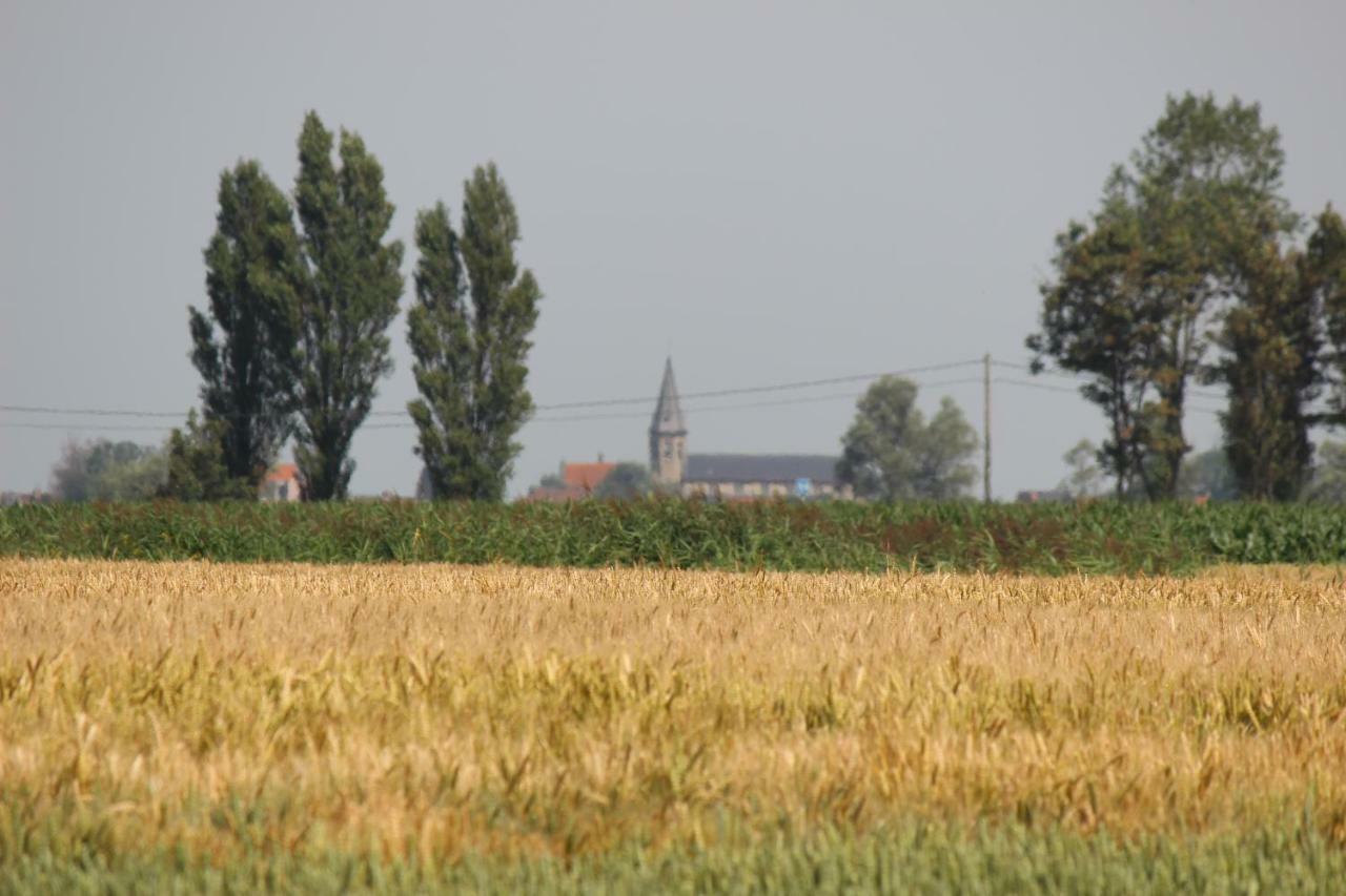 Maneschijn**** Hébergement de vacances Middelkerke